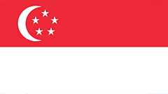 新加坡公司